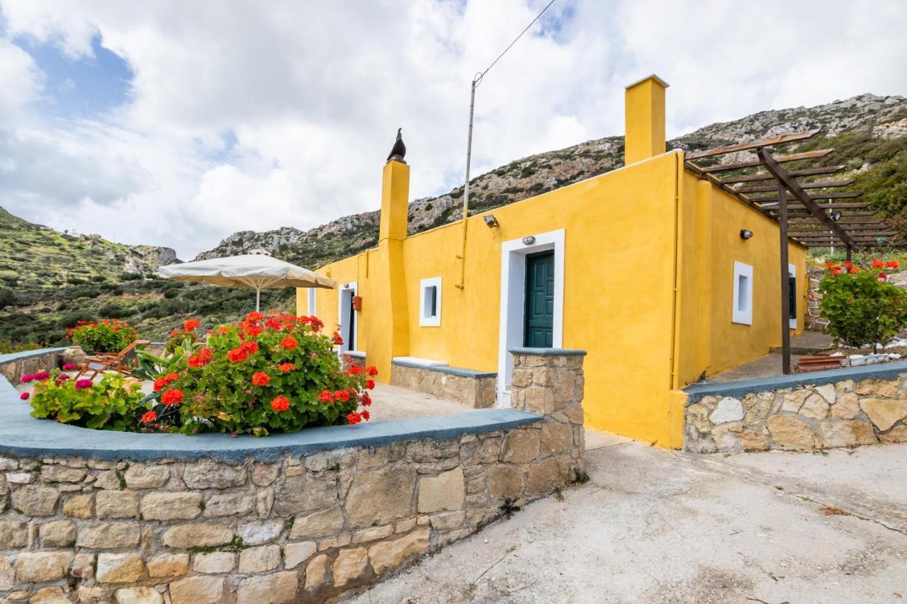 Olive Grove Holiday home